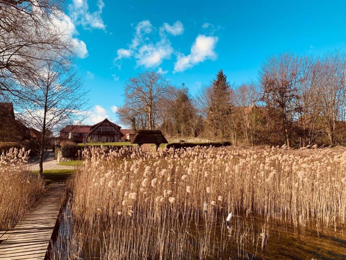 Seehotel Zarrentin Zarrentin am Schaalsee Buitenkant foto